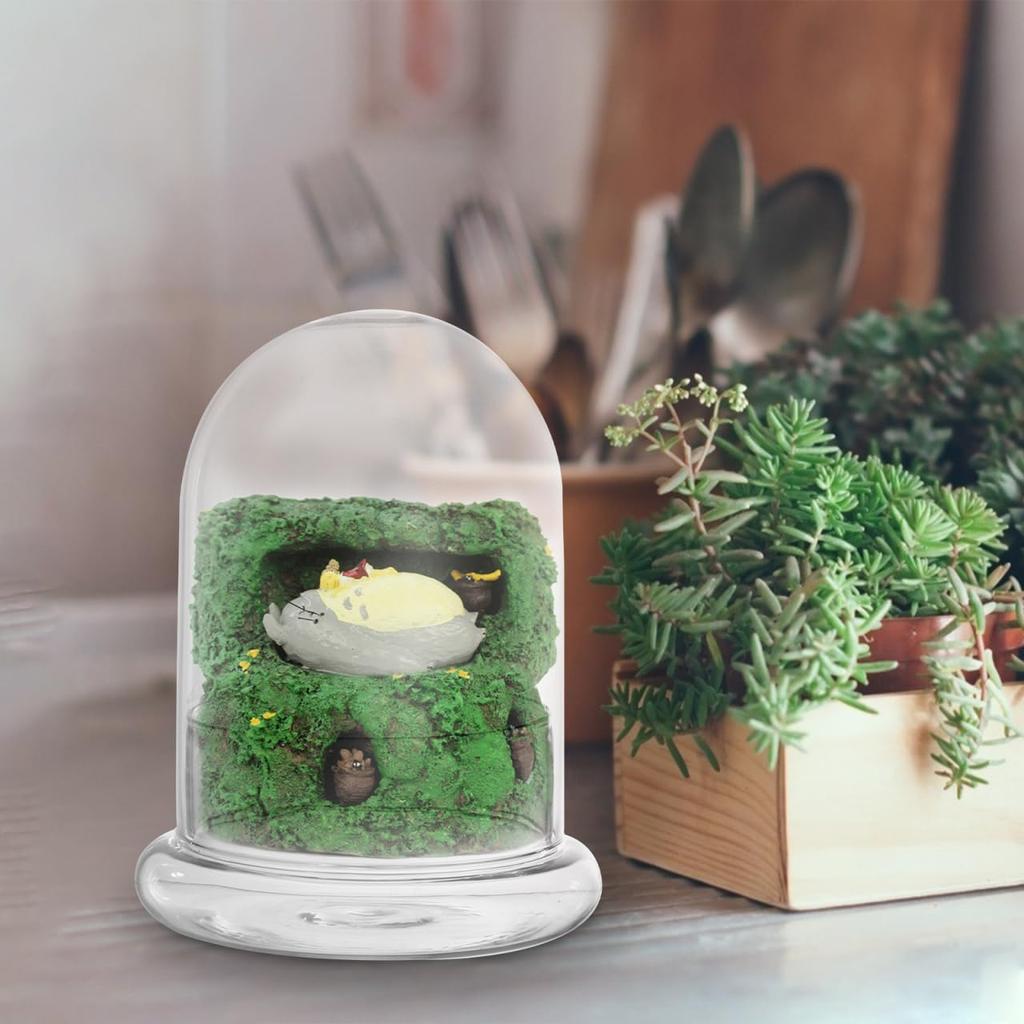 Hemoton Glass Display Dome,Clear Glass Dome for Micro Landscape DIY,Clear Cloche Bell Jar Terrarium Display Bottle,Decorative Case for Plants