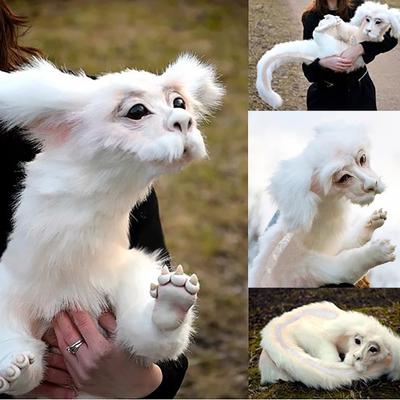 Falkor de l'histoire sans fin, jouets en peluche, cadeau pour enfants et adultes
