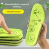 Mugwort Deodorizing Sports Insoles - Comfortable, Breathable, Sweat-Absorbing Massage Insoles for Men & Women