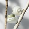 [Soofee] Birch Sap Moisturizing Cream Deep Hydration Skin Barrier Repair Face Cream Korean Skincare for Dry Sensitive Skin 50ml
