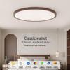 Ultra-Thin Full Spectrum Eye Protection Ceiling Light for Study, Bedroom, or Hallway