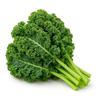 350 Sementes de Couve Kale Semi-Anã (Brassica oleracea colvar var sabellica)