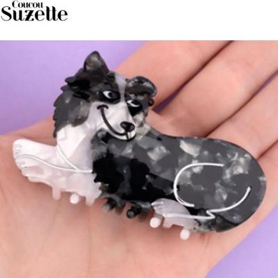Abbigliamento e scarpe – Accessori per cani