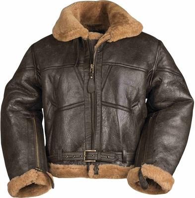 Winterjacke Mil Tec Royal Air Force Jacket (10451009) braun