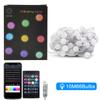 RGB Color Changing Globe String Lights 33ft Smart APP Control Fairy String Hanging Lights For Indoor Outdoor Party Christmas