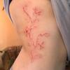 Sanfter Wind Rote Lilienranke Tattoo-Aufkleber Nische High-End Gefühl Langlebig Nicht-Reflektierend Taille und Bauch Aufkleber