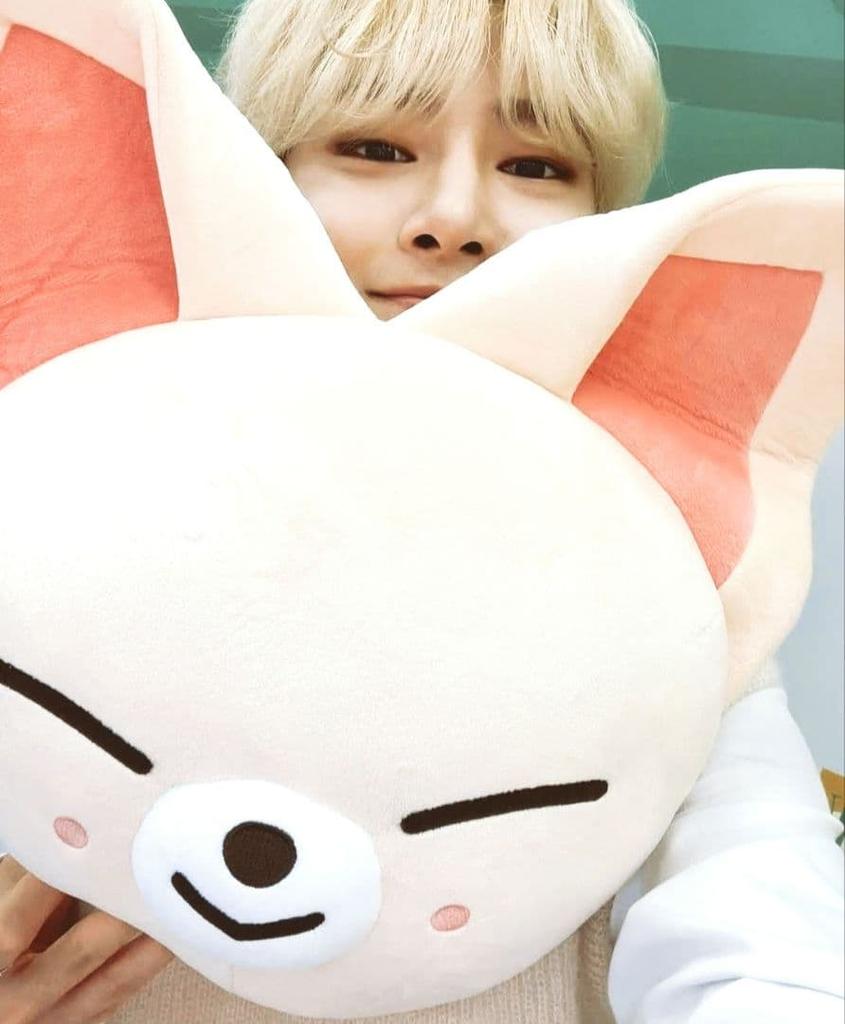 [USED] StrayKidsSKZOO The VICTORY Cushion