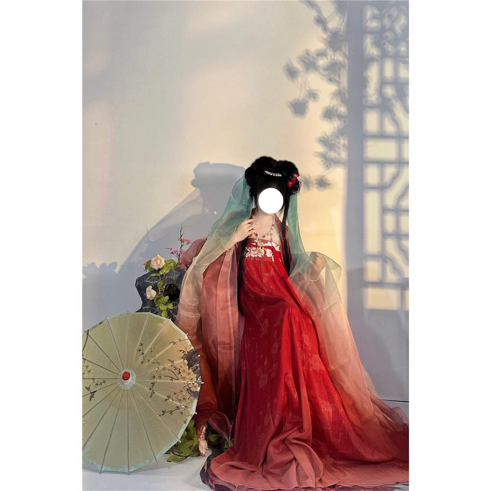 Rochie HE ZI în stil chinezesc din dinastia Tang Costum pentru femei Hanfu Costum zilnic brodat