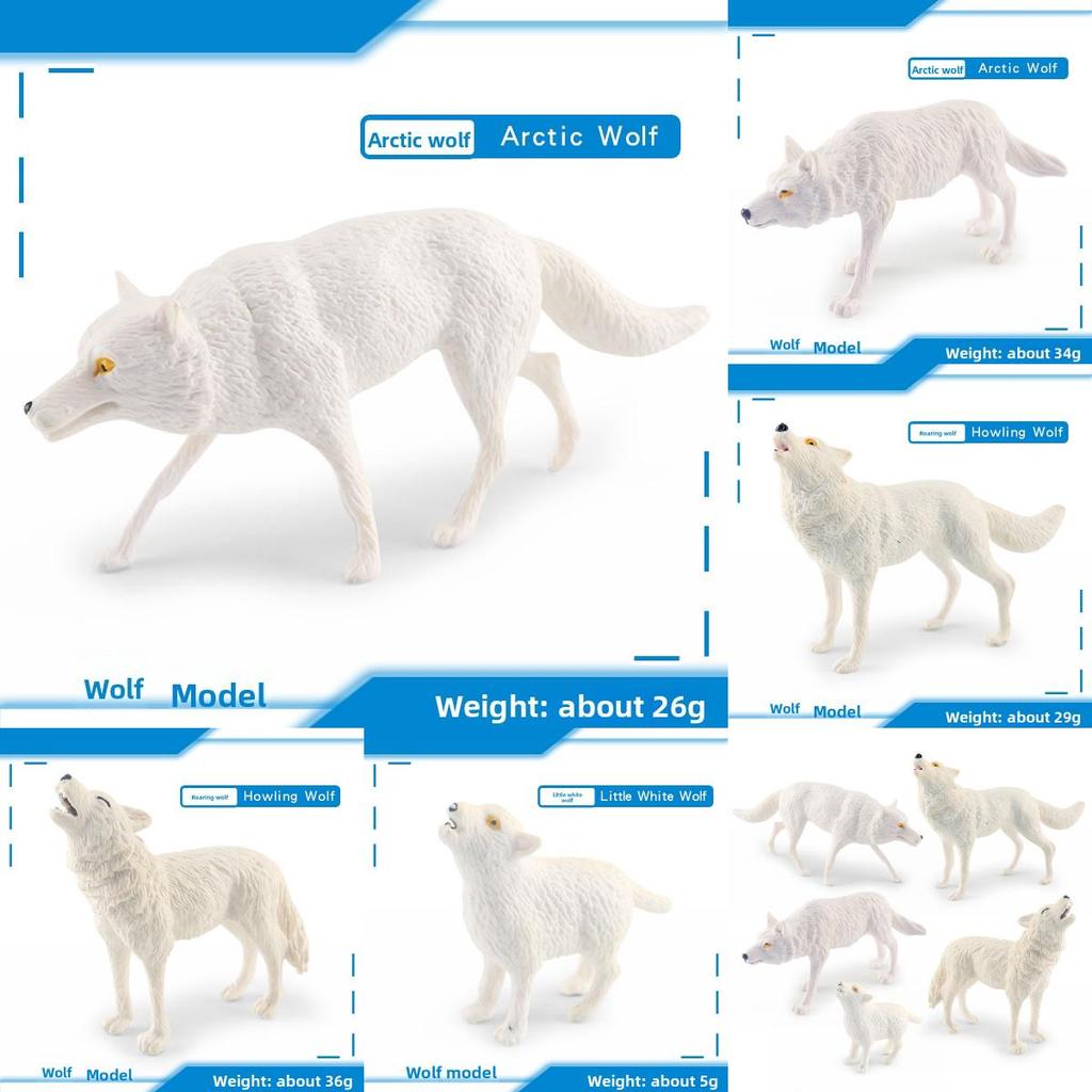 Wild Forest White Wolf Animal Pvc Static Model With Realistic Design For Collectors And Nature Enthusiasts