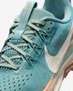 DV3865-010 Nike Pegasus Trail 5 Cannon Mink Brown Orange Chalk Soft (Women's)