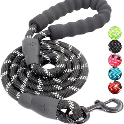 Cani – Collari e guinzagli per cani