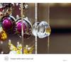 Acrylic Dustproof Earrings & Jewelry Organizer Box with Hanging Rack