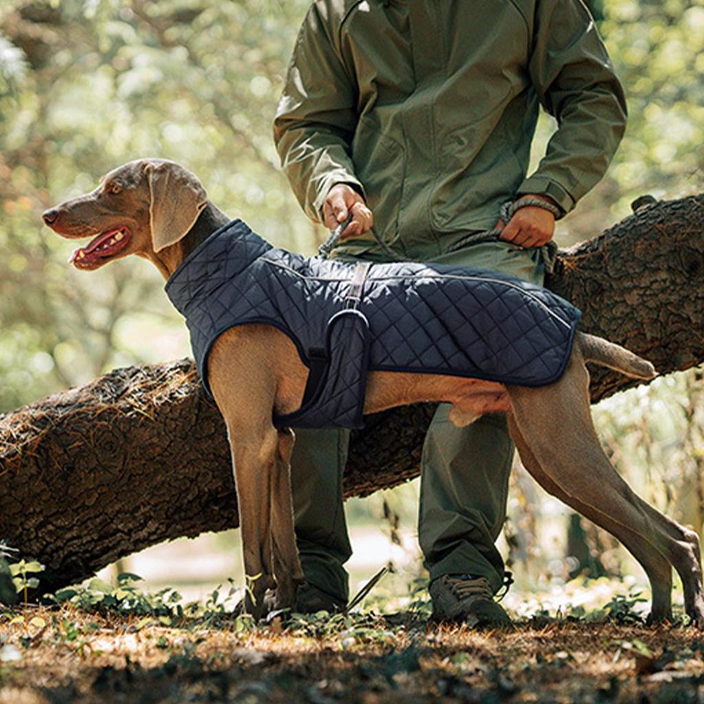 Dog Jacket Cotton Windproof Warm Vest Cold Weather Pet Dogs Jackets For Walking Daily Hiking Skiing Outdoor Picnic Park Visits