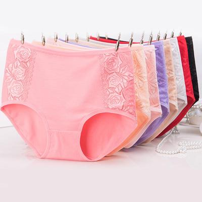 Slip Donna Pizzo Puro Cotone Vita Alta [40-77 kg]