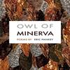 Owl of Minerva by Eric Pankey Paperback Book 9781571315106