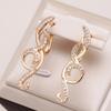 Earings Fashion Jewelry Natural Zircon Rose Gold Color Long Tassel Dangle Earrings For Women Daily Fine Jewelry