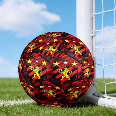 Fútbol – Pelotas de fútbol
