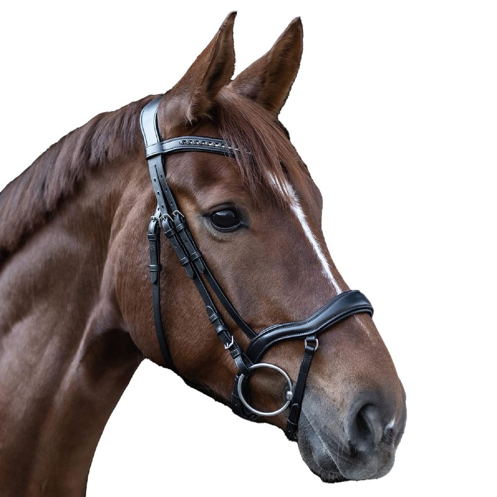 WALDHAUSEN Bridle with Black Rhinestones and Full Reins, X-LINE, Black, Size, W-HA-9579401