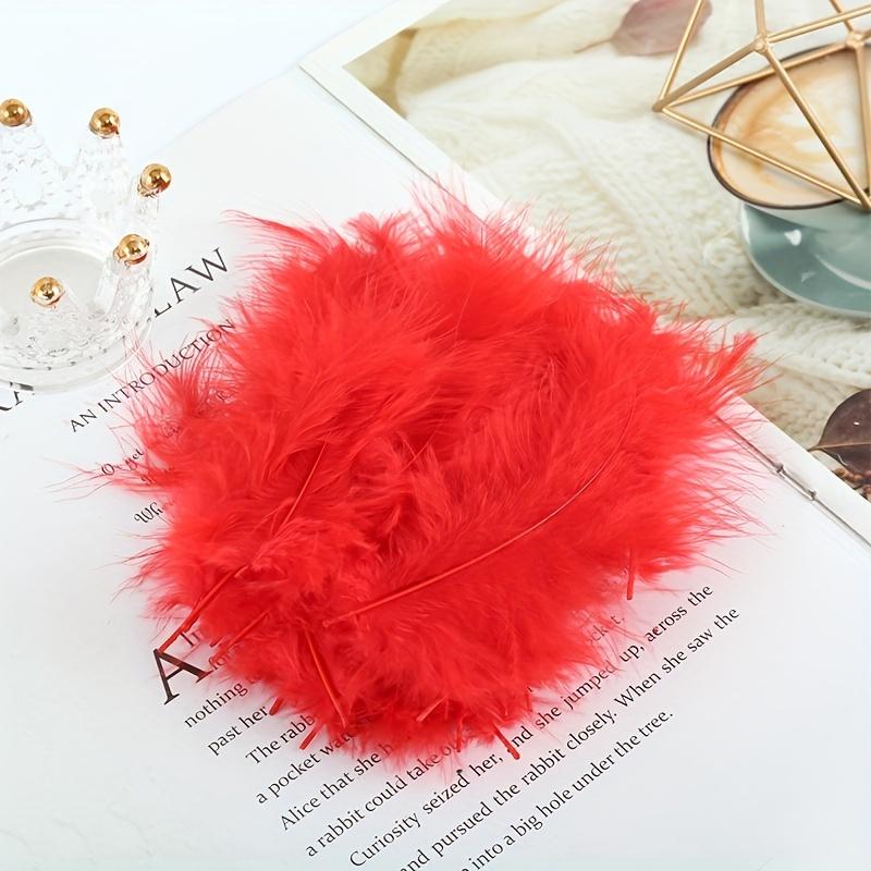 

Набор из 50 штук перьев индейки – Остроконечные хвостовые и пуховые перья, Идеально для изготовления своими руками красочных кошачьих аксессуаров красный