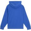 Puma Logo Hooded Pullover Casual Sweatshirt Women Sweatshirt Electric-Blue 675610-92