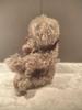 [USED] Teddy Bear Made by Teddy Bear Artist "Tokotoko Bear Japan