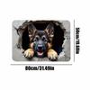 3D Rugs Optical Illusion Squirrel And Dog Soft Non-Slip Quick Dry Mat 3D Optical Illusion Rug For Birthday Halloween