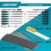 LIBRATON File Metalworking Files Plastic Woodworking Diamond Fine and Medium for Edge DIY Includes 12 Sheets of Steel and Storage Set, 31-Piece Set
