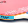 Double Fish 226A Table Tennis Racket Set