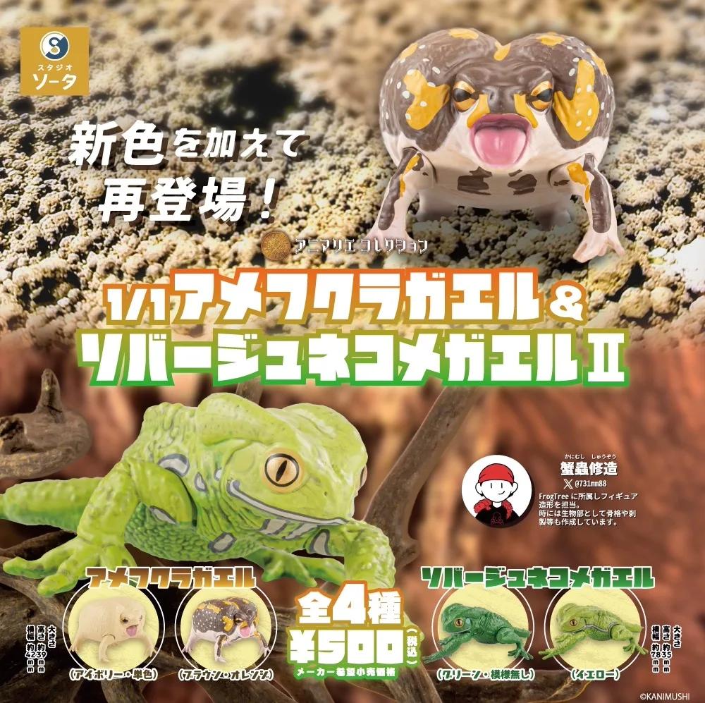 Japanese Genuine Gacha Scale Model Simulation Amphibian Frog Emulational Tabletop Decoration Action Figure Toys