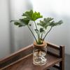 Transparent Flower Vase Glass Mountain Viewing Bottle Hydroponic Flower Holder  Office