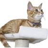 PetSoKoo Bowtie Cat Collar with Bell Breakaway, Japan Chirimen Fabric Golden Bell