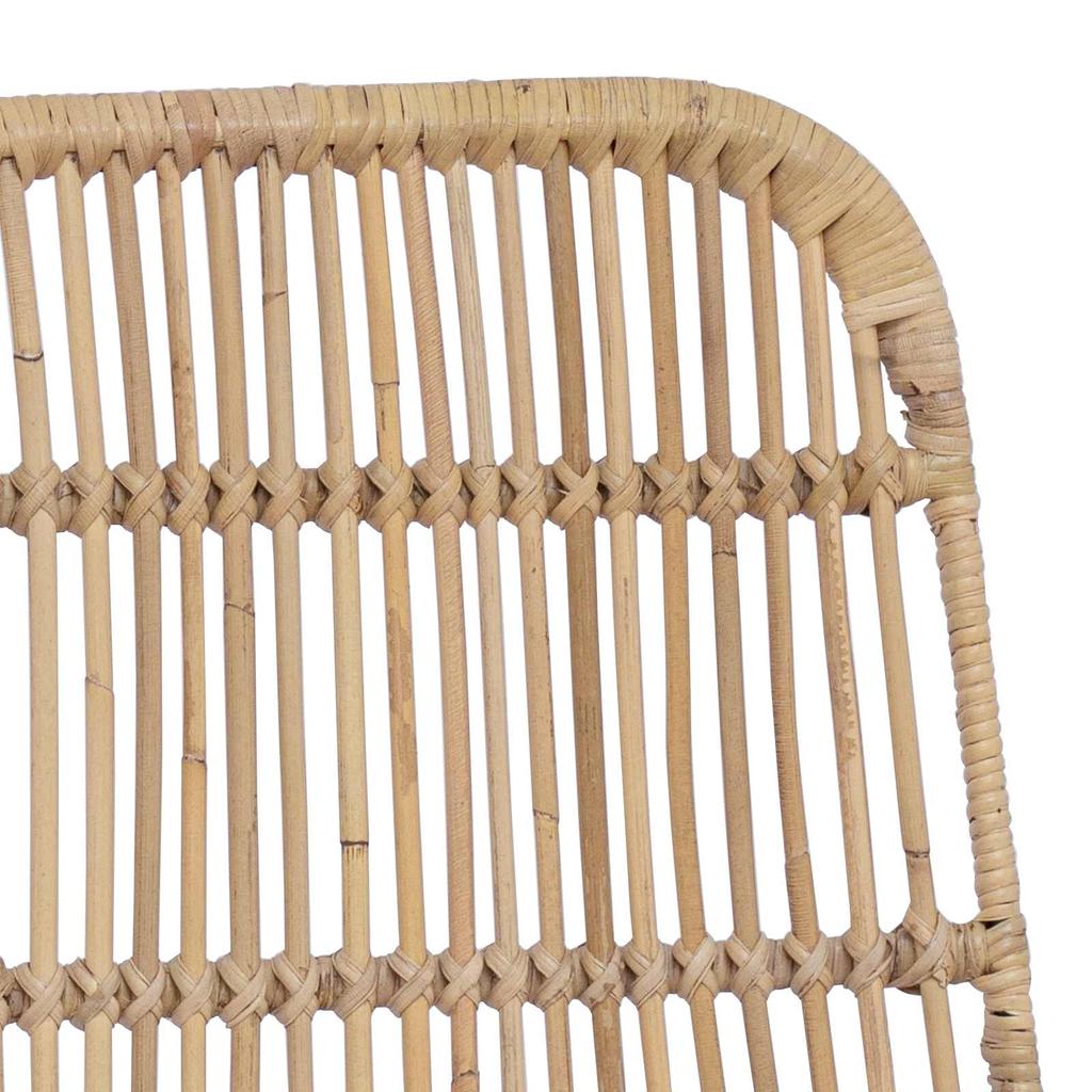 Dining Chair 2 Pcs Natural 41 X 55 X 85 Cm Rattan and Steel