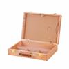 Art Storage Box with Dividers Slim Toolbox Secure for Desktop, Studio