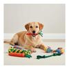 (Pettilo) Dog Toy Rope Set of 5, Durable, Sturdy, Popular, For Puppies and Small Dogs <<100% Natural Cotton>> Pet Chew Toy, Rope, String, Pull,