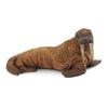 Collcta Walrus 12cm Wide X 6cm Tall