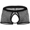 See Through Men Underpants Sexy Boxer Sheer Breathable Trunks