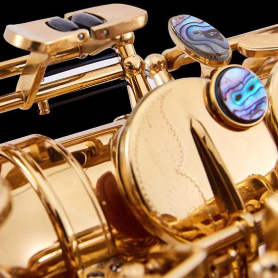 9Pcs Saxophone Key Button Smooth Surface Wear Resistant Inlays Accessory Abalone Shell Sax Key for Alto