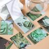 Livro de Adesivos Washi Yuxian: Série Fougere - 6 Designs Decorativos Frescos Estilo Ins para DIY