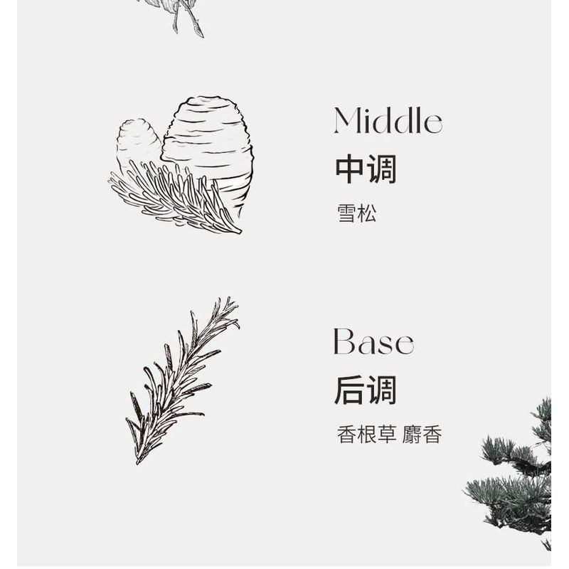 NOVO - Eau De Toilette Perfume - 3 Types