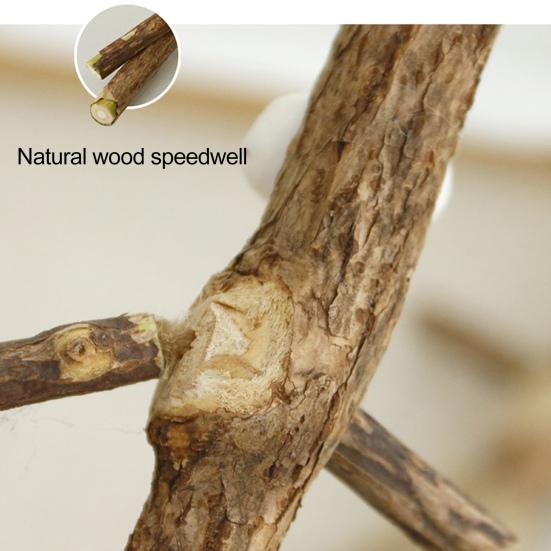 Jouet pour chat Silver Vine Jouet à mâcher pour chat en bois naturel Jouet sûr pour le nettoyage des dents Jouet Kicker pour chat pour chaton poussée dentaire Divertissement solo