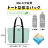 Thermos Insulated Big Tote Bag 36L Mint Green MG RFQ-036