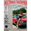 Retro Vintage Metal Sign Pin Up Girl Car Decor Wall Art