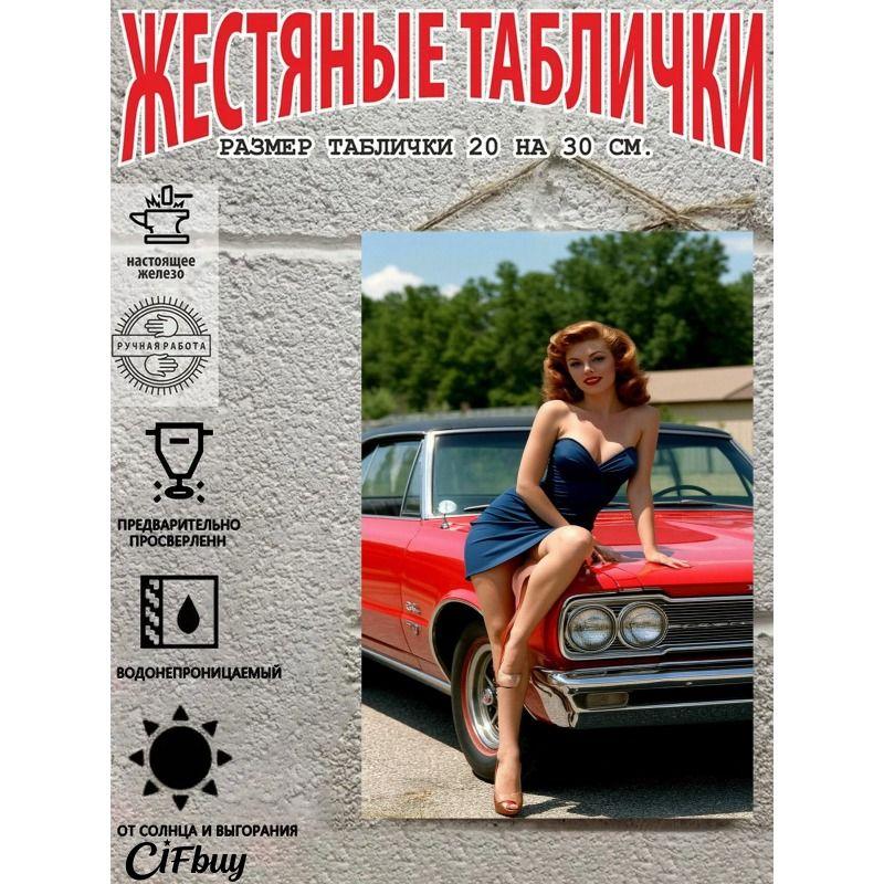 Retro Vintage Metal Sign Pin Up Girl Car Decor Wall Art