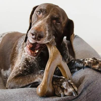 Haltbarer Hunde-Kauknochen zur Zahnreinigung und zum Training Interaktives Spiel Unterhaltung Heimtierbedarf