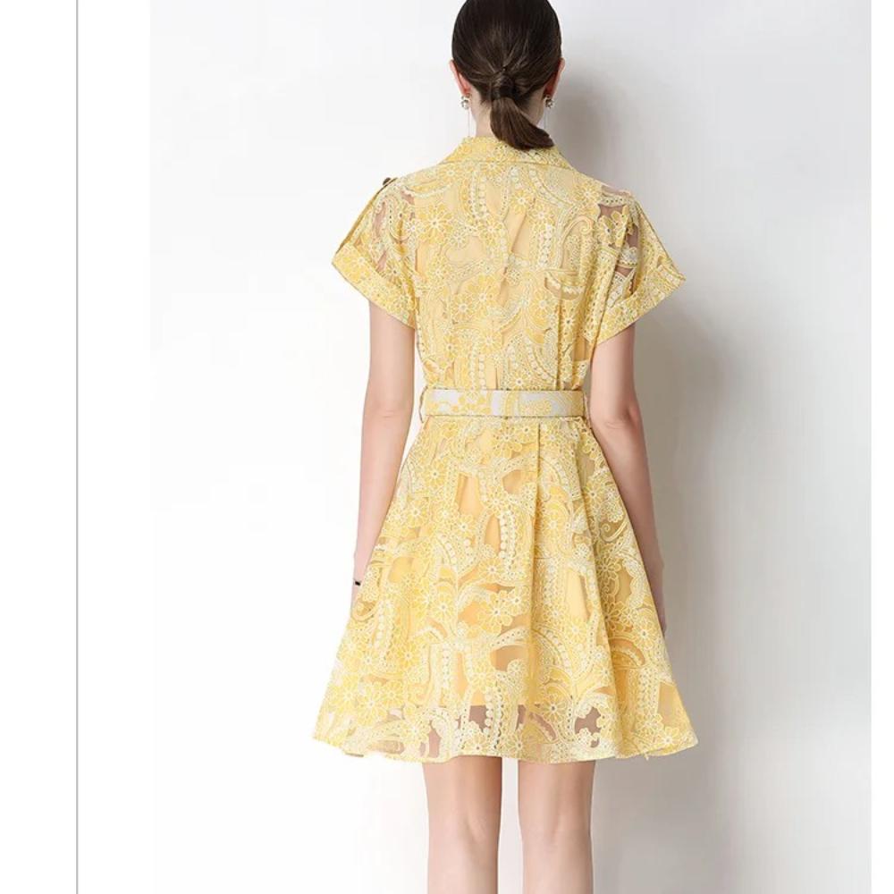Elegant Lace Embroidery Hollow-out Mini Dress for Women Lapel High Waist A-Line Short Sleeve Single Belt Short Dress Summer
