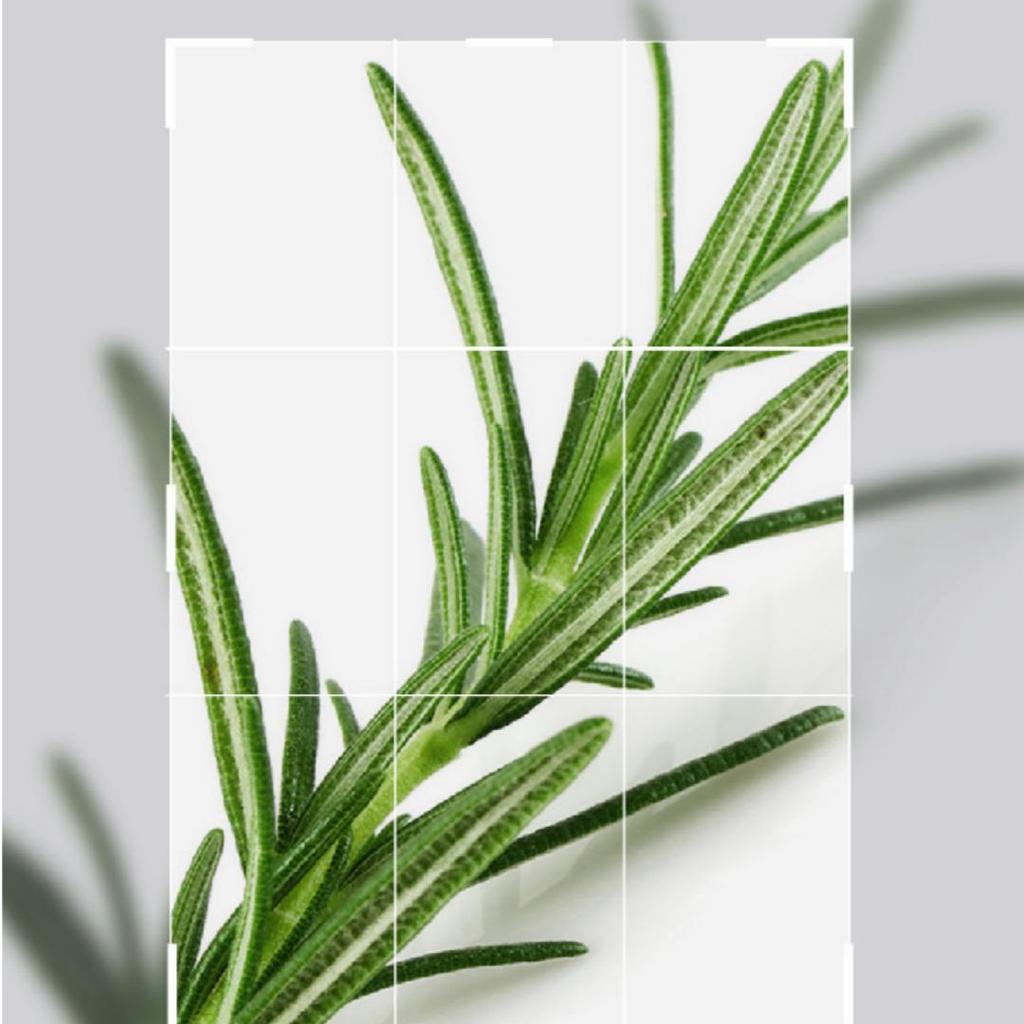 [MEDIHEAL] Teatree Pore Whipping Cleanser (Derma) 200ml