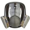 Full Face   Cover Facepiece Gas Mask for Painting Welding Disinfection