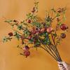 Pomegranate and Persimmon Artificial Flower Branch for Living Room or Dining Table Decoration