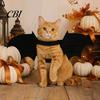 Cute Cat Bat Costume Halloween Pet Wings, Costume, Skeleton Wings Creative Dog Suit with Bells, Festive Apparel for Cats Dogs Cosplay Party