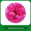 Cheerleading Hand Flower Pom Poms for Dance and Performance